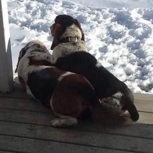 Meet your Posher, Kari